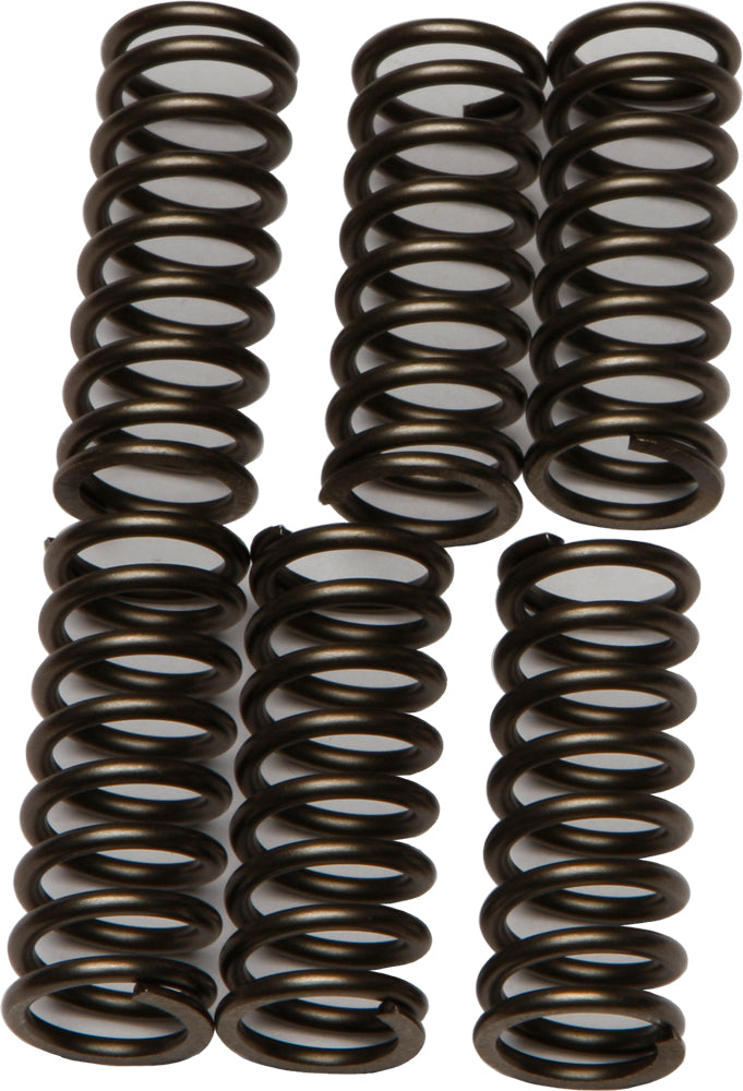 EBC Motorcycle Brakes clutch springs Csk196 15-17196, close-up of metal clutch springs for motorcycle clutch system.