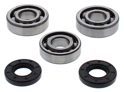 All Balls engine crankshaft bearing and seal kit 22-41117 with multiple seals and bearings for motorcycle or engine repair.