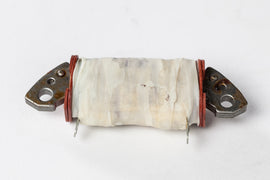 Ricks Motorsport Electric stator 27-22301 for motorcycle electrical system, with copper wiring and mounting hardware visible in the image.
