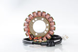 Ricks Motorsport Electric - Stator - 27-21409