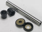 1d99-572a5be335fee.jpg