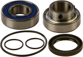 All Balls drive chain case bearing and seal kit with replacement bearings and seals for motorcycle drive systems.