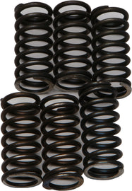 EBC Motorcycle Brakes clutch springs for CSK200, showing close-up of metal springs used in clutch assembly.