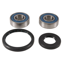 All Balls drive wheel bearing and seal kit 22-51743, includes bearings and seals for motorcycle wheel maintenance.
