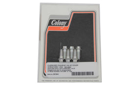 D-Ring Cadmium Rocker Arm Cover Screw Set