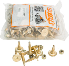 Charger l'image dans la galerie, Gold Digger Carbide Traction Master Stud 1.005" 96/Pk