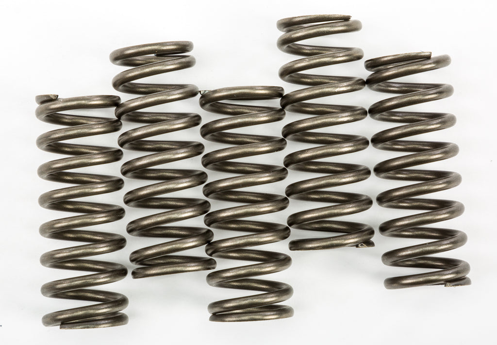 EBC Motorcycle Brakes clutch springs Csk254, small metal coil springs for clutch assembly, shown on a white background.