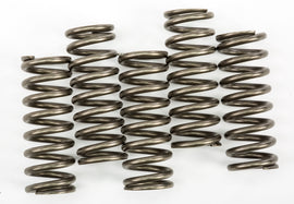 EBC Motorcycle Brakes clutch springs Csk254, small metal coil springs for clutch assembly, shown on a white background.