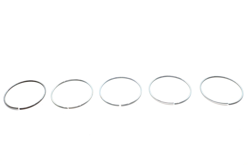 Piston Ring for Rear Brake Caliper