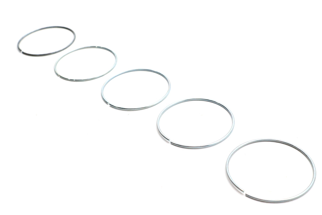 Piston Ring for Rear Brake Caliper