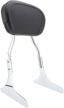 Load image into Gallery viewer, 2432-673e596da287e.png