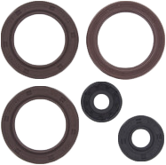Vertex engine oil seal kit Can 182-2002 with gaskets and seals, showing detailed components for engine sealing.
