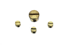 Charger l'image dans la galerie, Carburetor Idle Plug and Screw Kit