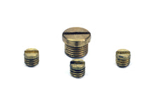 Charger l'image dans la galerie, Carburetor Idle Plug and Screw Kit
