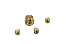 Charger l'image dans la galerie, Carburetor Idle Plug and Screw Kit