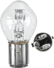 Load image into Gallery viewer, Box Bulbs 45/45w 10/Box