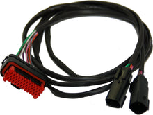 Load image into Gallery viewer, 2dae-600602ed2119a.jpeg