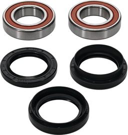Pivot Works Drive Wheel Bearing Kit Premium 22-51693P with multiple bearings and components for motorcycle wheel assembly.