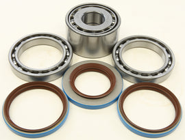 All Balls Rear Differential Bearing and Seal Kit for off-road vehicles, including bearings and seals for drivetrain repair.