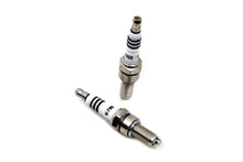 Load image into Gallery viewer, V-Twin M8 Performance Spark Plug Set