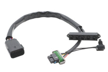 Charger l'image dans la galerie, XL Instrument Harness Assembly