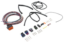 Charger l'image dans la galerie, Twin Cam Ignition Harness