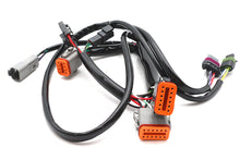 Charger l'image dans la galerie, Replacement Complete Ignition Harness