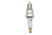 Charger l'image dans la galerie, Ultima Standard Spark Plug