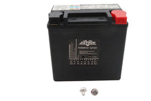 Charger l'image dans la galerie, Ultima 12 Volt AGM Thundervolt Battery