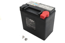 Charger l'image dans la galerie, Ultima 12 Volt AGM Thundervolt Battery