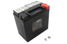 Charger l'image dans la galerie, Ultima 12 Volt AGM Thundervolt Battery