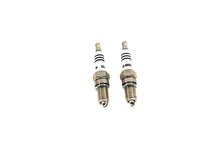 Charger l'image dans la galerie, V-Twin Performance Spark Plug Set