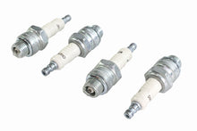 Charger l'image dans la galerie, Champion Spark Plug