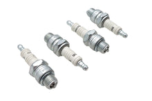 Load image into Gallery viewer, Champion Copper Plus Spark Plugs