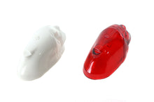 Load image into Gallery viewer, Indian Face Front Fender Lens Set