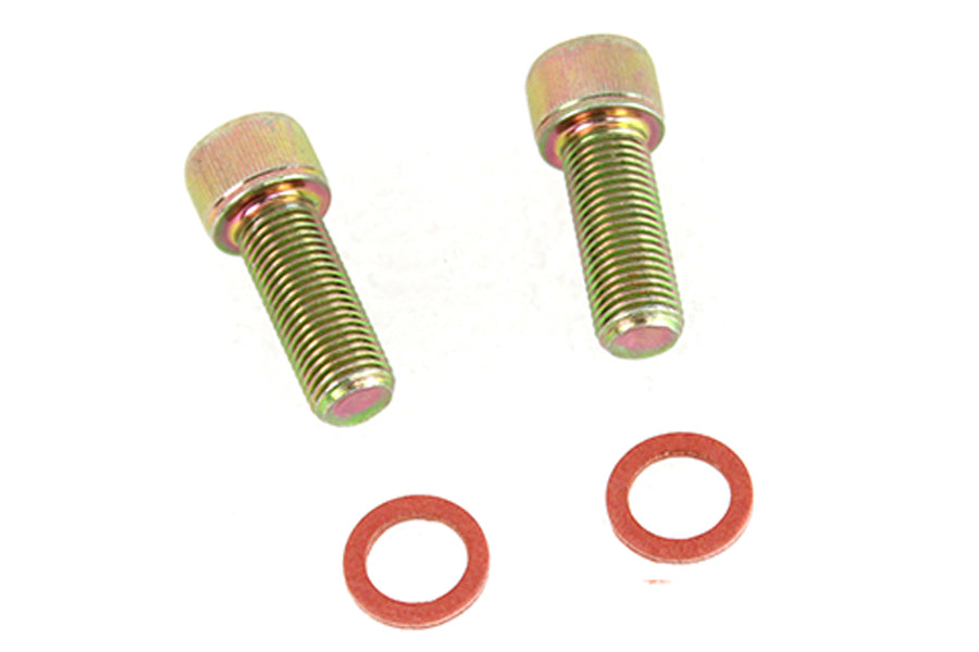 Damper Fork Tube Screw and Washer Kit Zinc Plated