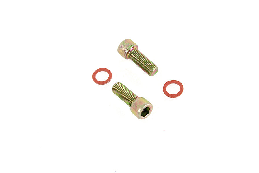 Damper Fork Tube Screw and Washer Kit Zinc Plated