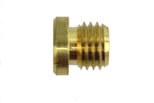 Load image into Gallery viewer, Carburetor Main Jet .100