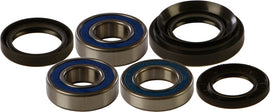 All Balls drive wheel bearing and seal kit 22-51037 with metal seals and bearings, designed for vehicle wheel assembly.