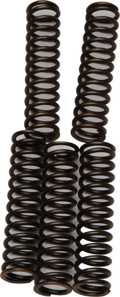 EBC Motorcycle Brakes clutch springs for Csk110 model, showing close-up of durable metal springs and clutch component.