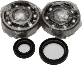 All Balls engine crankshaft bearing and seal kit 22-41016 with various seals and bearings laid out on a white background.