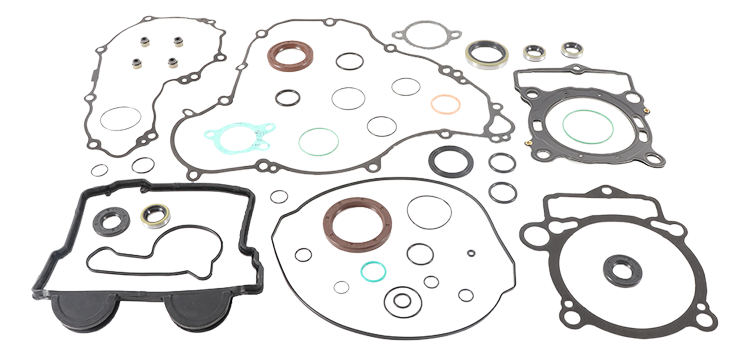 Complete Gasket Set With Oil Seals
