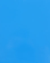 Load image into Gallery viewer, Baja Cage W/No Intrusion Voodoo Blue