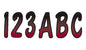 Series 200 Registration Kit (Burgundy/Black)