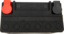 HardDrive YTX20L/YTX20HL sealed AGM motorcycle battery with 320 CCA, factory activated, maintenance-free design.