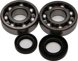 All Balls crankshaft bearing and seal kit for engine, showing multiple bearings and seals in the set.
