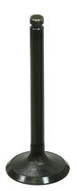 494e-5cf174b2e484a.jpg