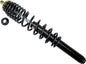 5268-5da4999ae3829.jpg