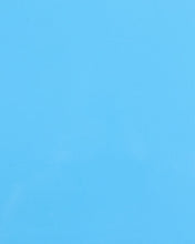 Load image into Gallery viewer, Cab Asylum Cage W/No Intrusion Sky Blue