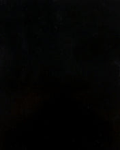 Load image into Gallery viewer, Cab Asylum Cage W/V Intrusion Black